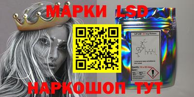 индика Комсомольск-на-Амуре